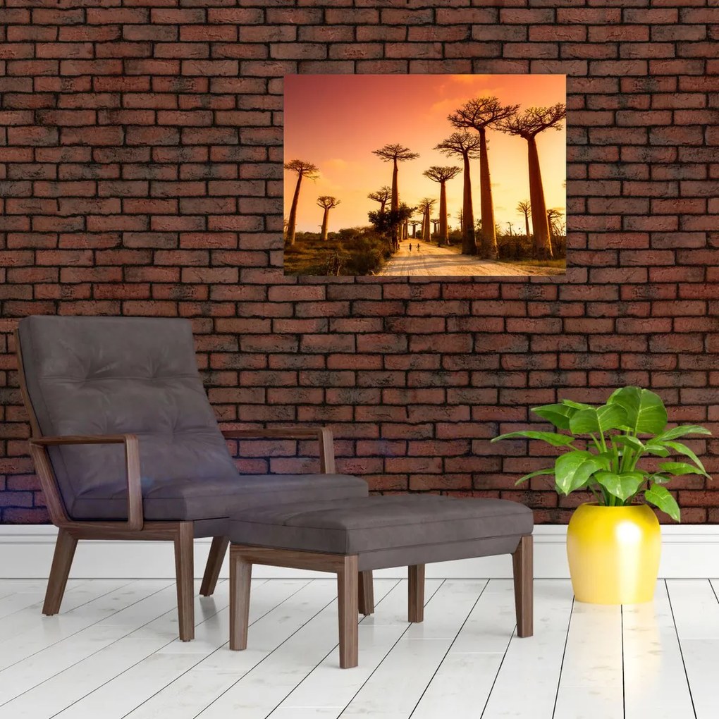 Tablou - Apus de soare pe Aleea Baobabilor (70x50 cm)