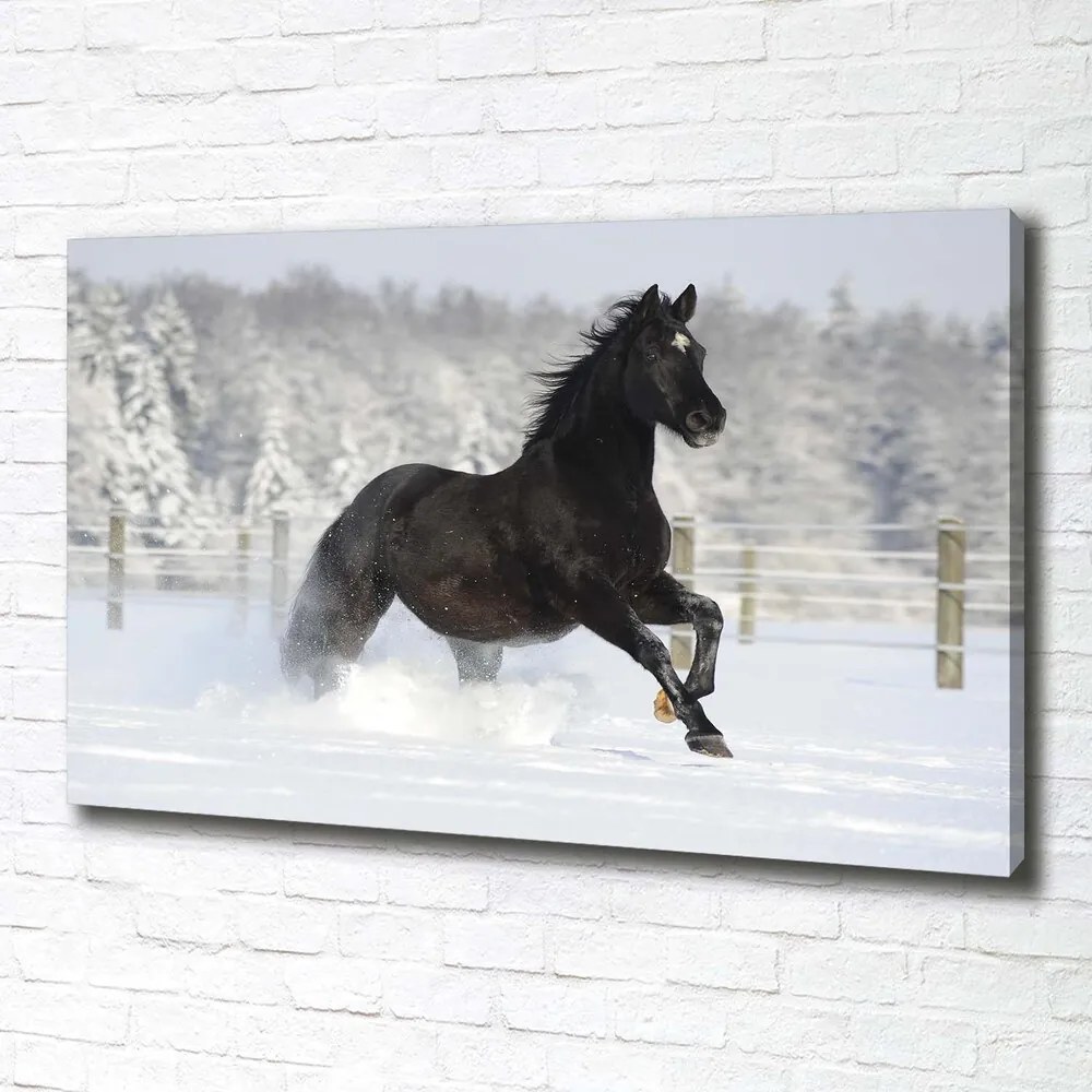 Imprimare tablou canvas Un cal în galop de zăpadă