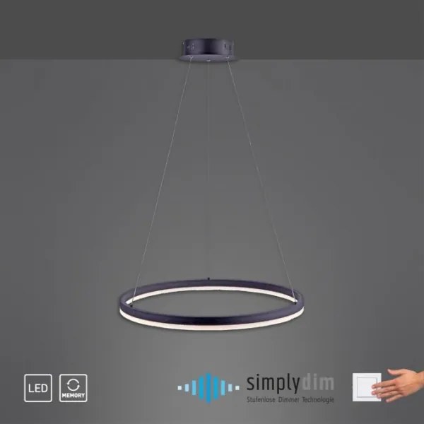 Lustră LED pe cablu dimabilă TITUS LED/38,5W/230V Paul Neuhaus 2382-13