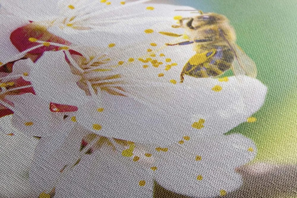 Tablou flori în pom primăvara