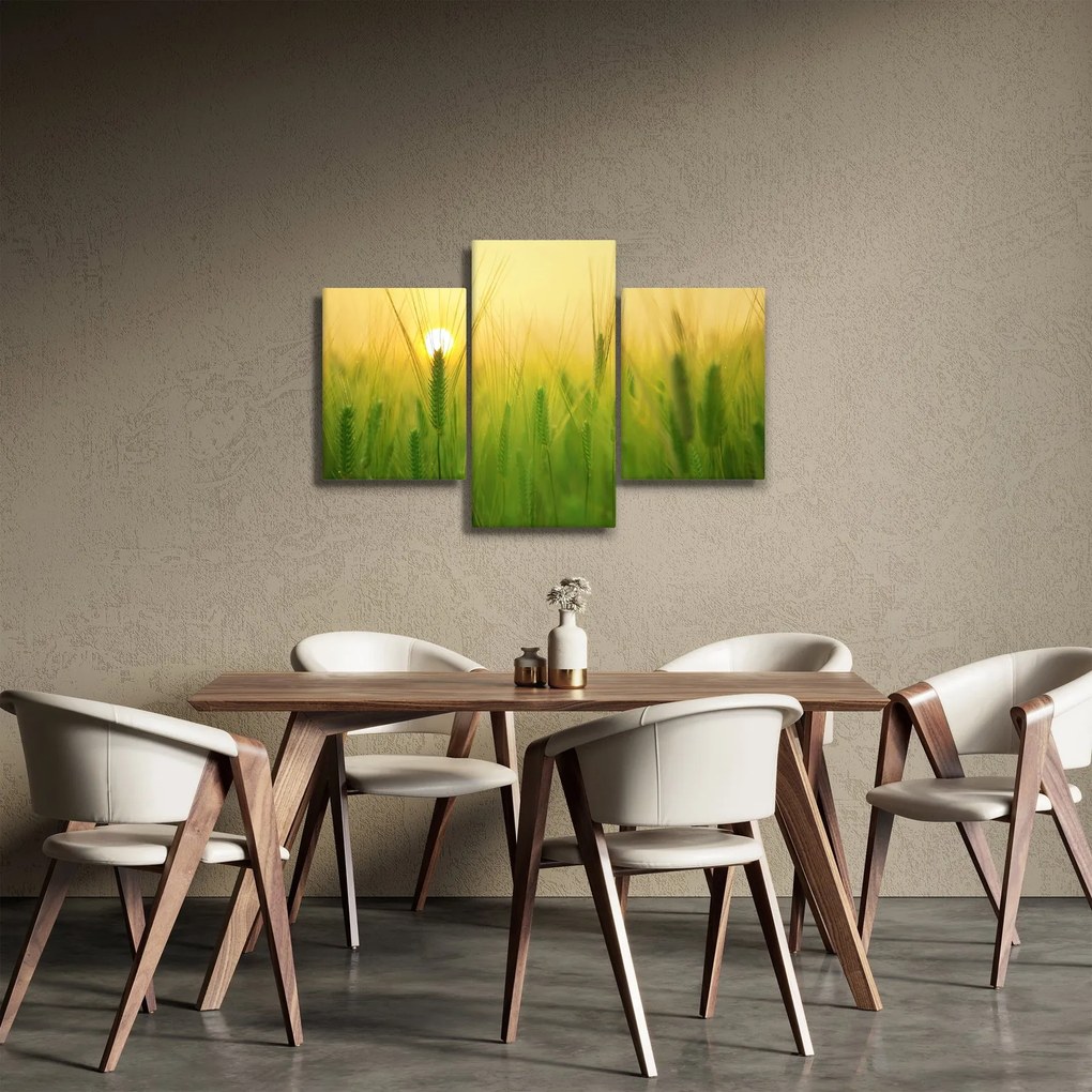 Tablou - Câmp cu cereale (90x60 cm)
