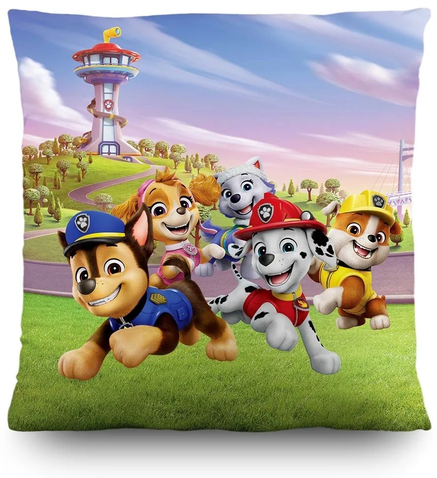 Perna pentru copii Paw Patrol, 40 x 40 cm