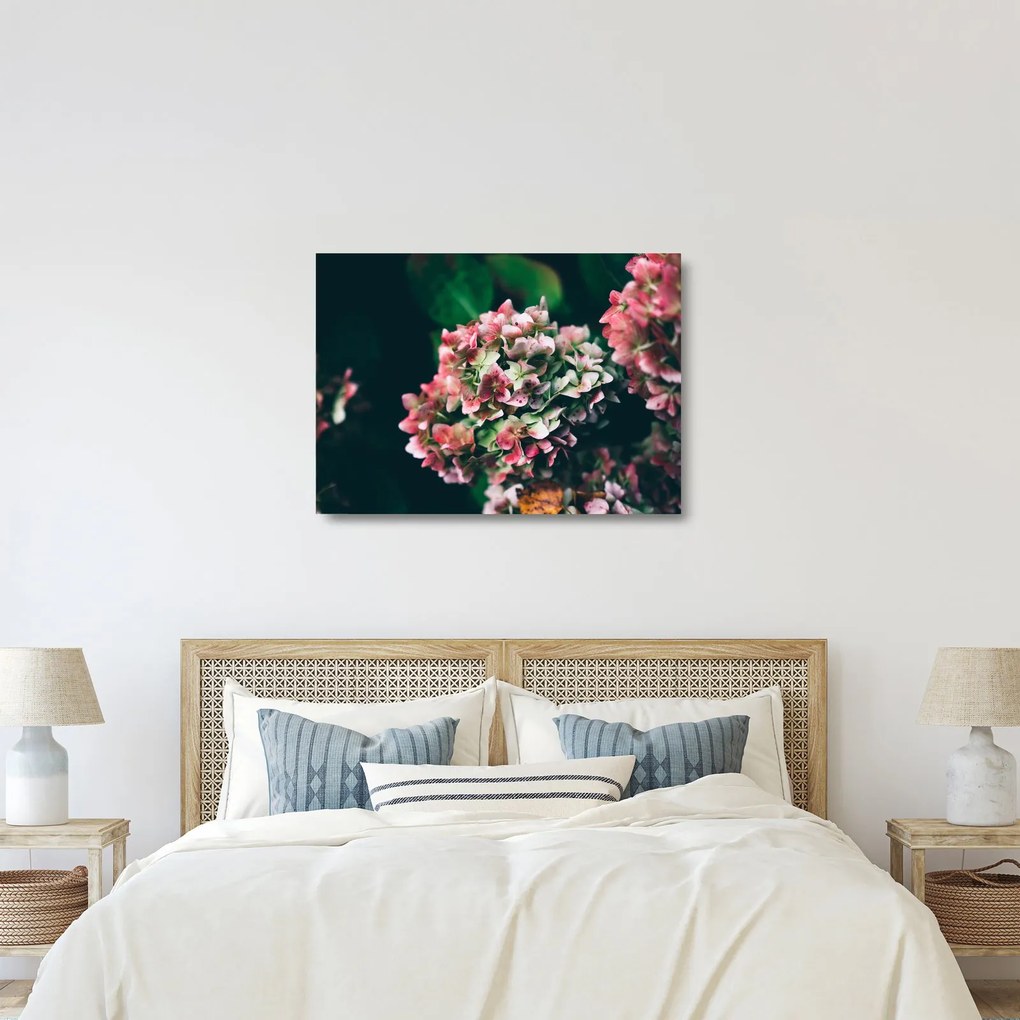 Tablou pe sticlă - Hortensie (70x50 cm)