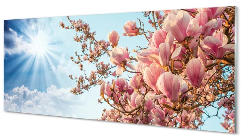 Tablouri acrilice Magnolia cer soare