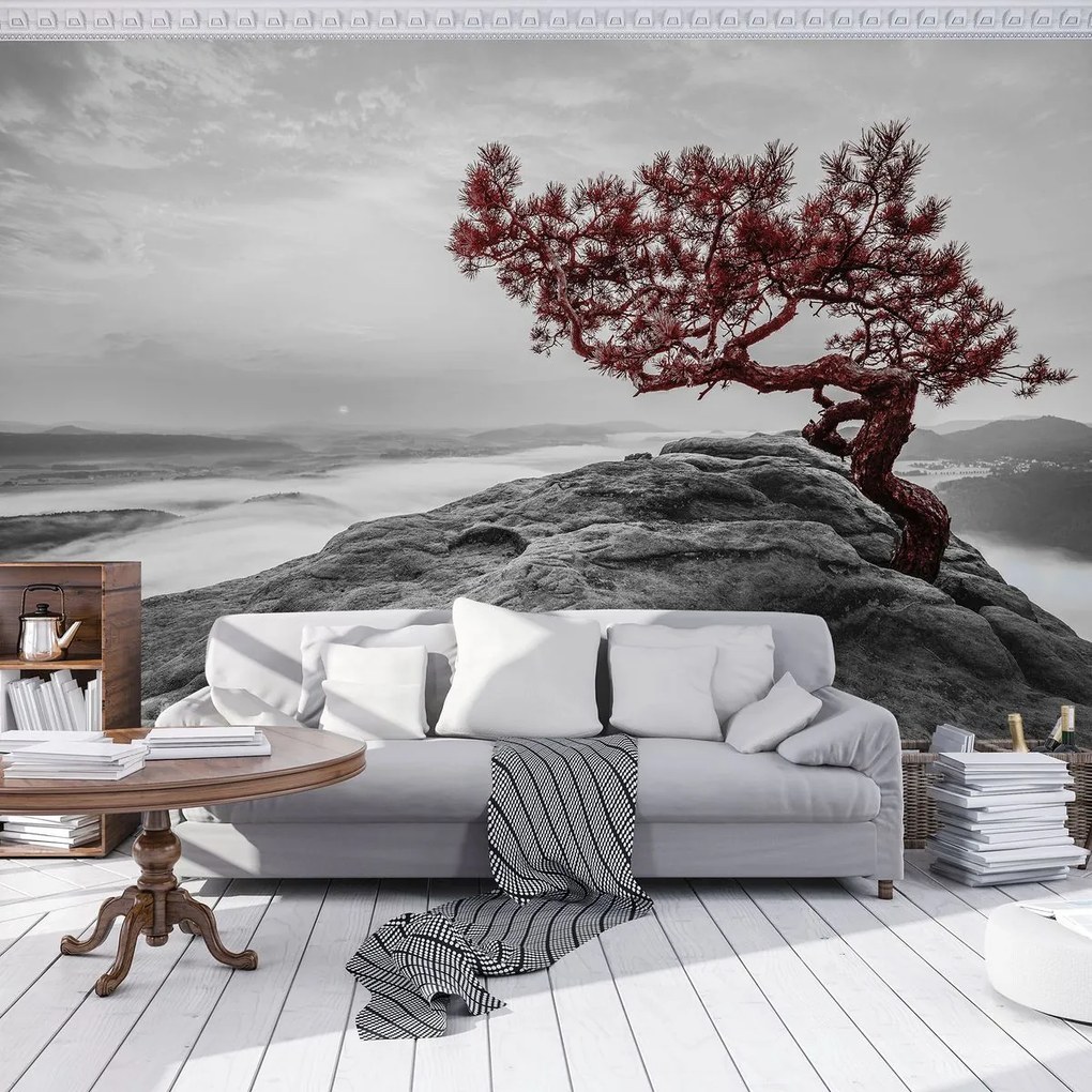 Fototapet - Copac pe stânci (152,5x104 cm)