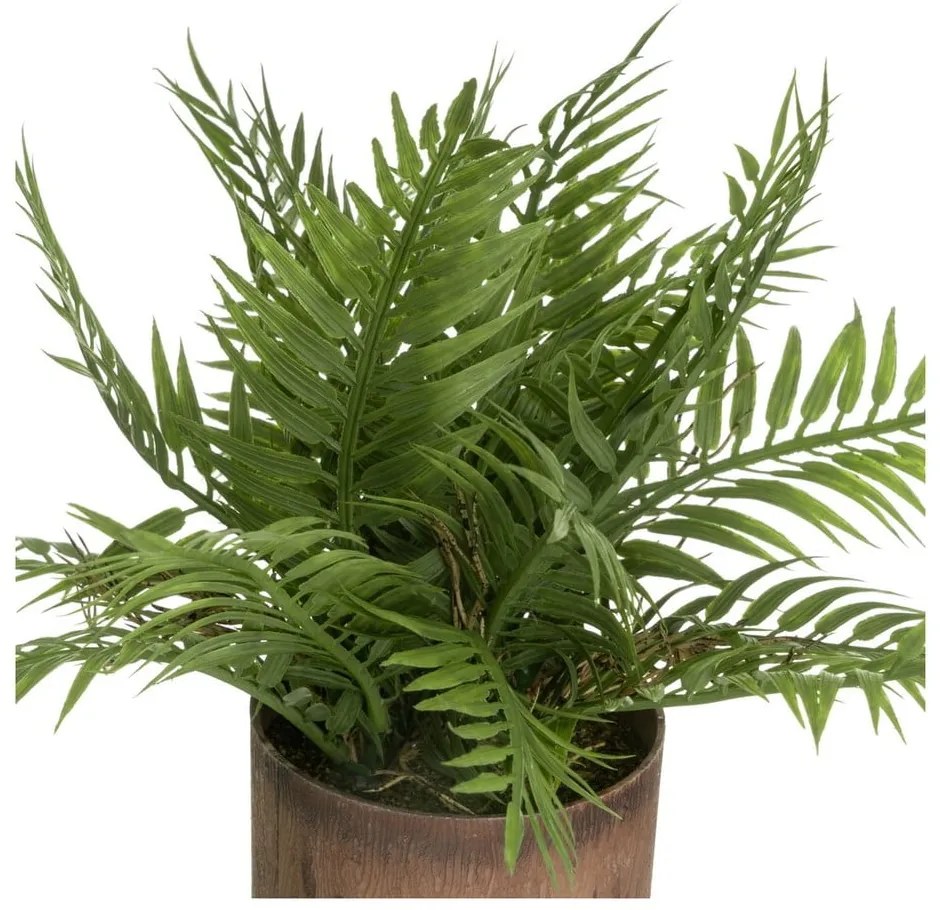 Plante artificiale 2 buc. (înălțime 22 cm) – Casa Selección