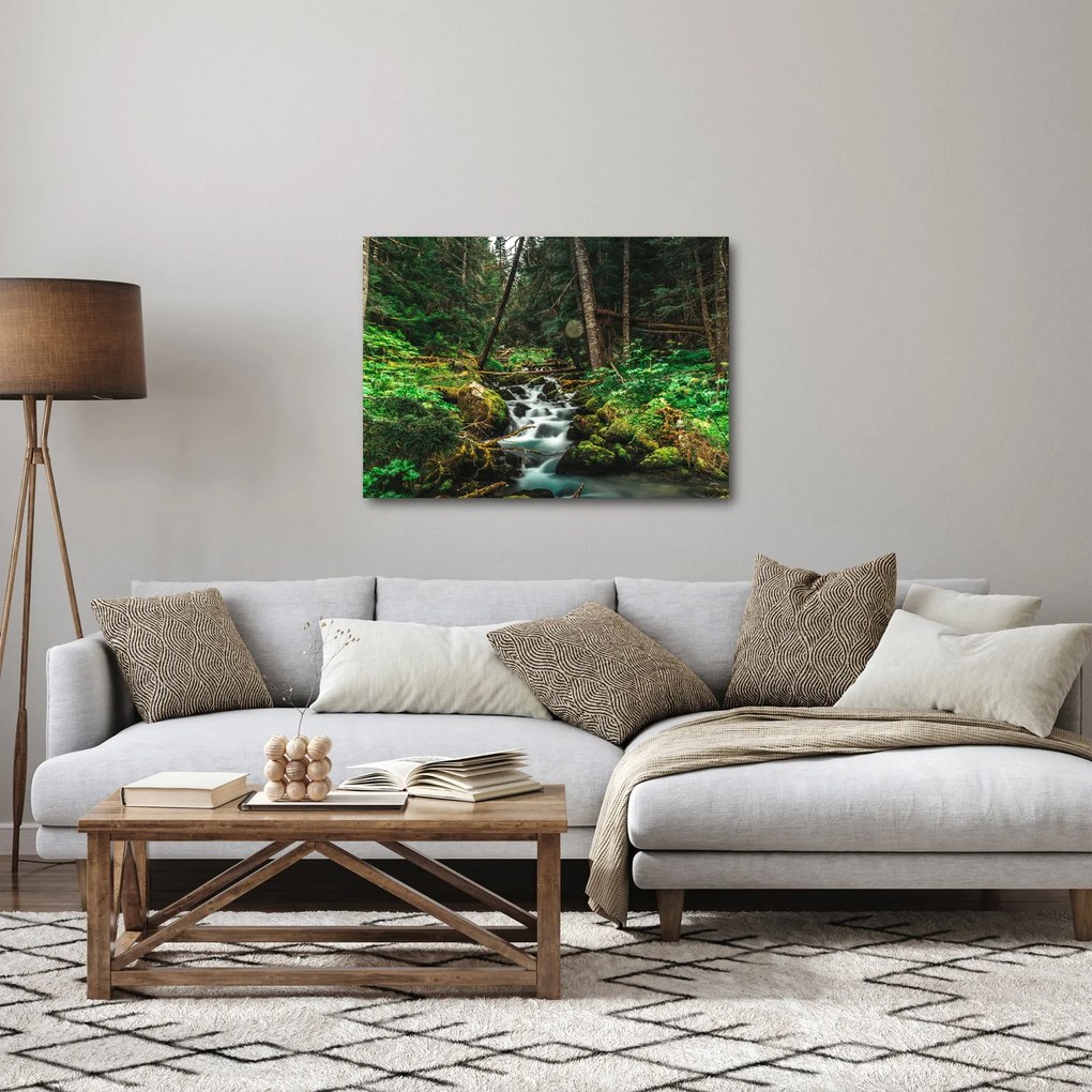 Tablou cu pârău în pădure (70x50 cm)