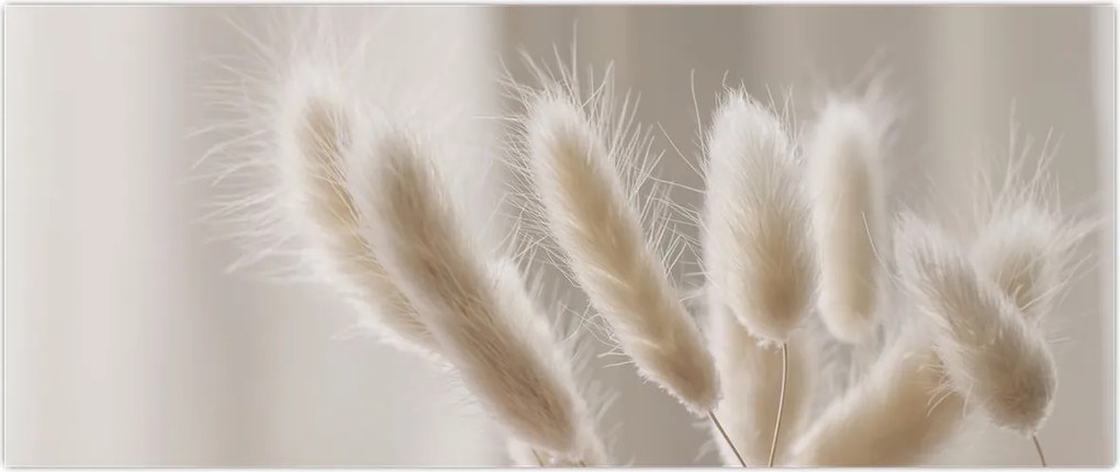 Tablou - Cozi de iepure (120x50 cm)