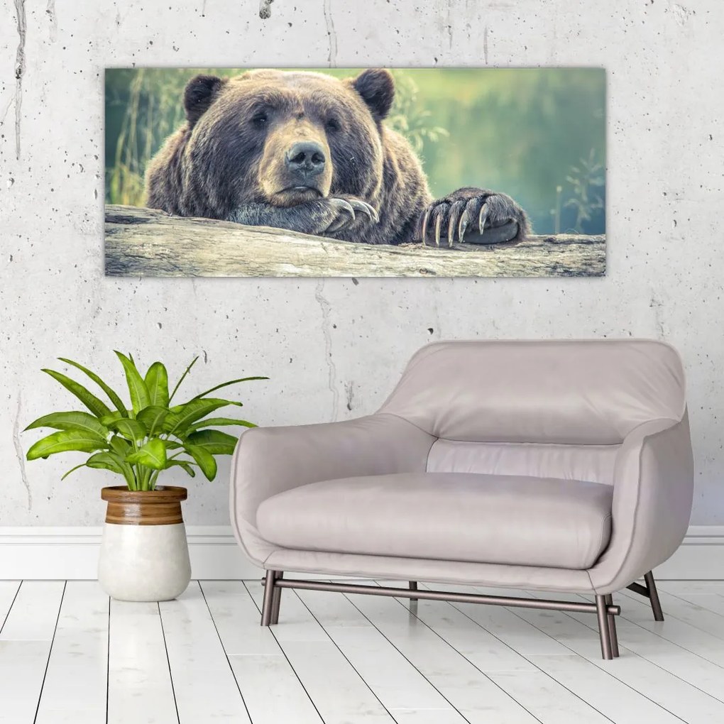 Tablou cu urs (120x50 cm)
