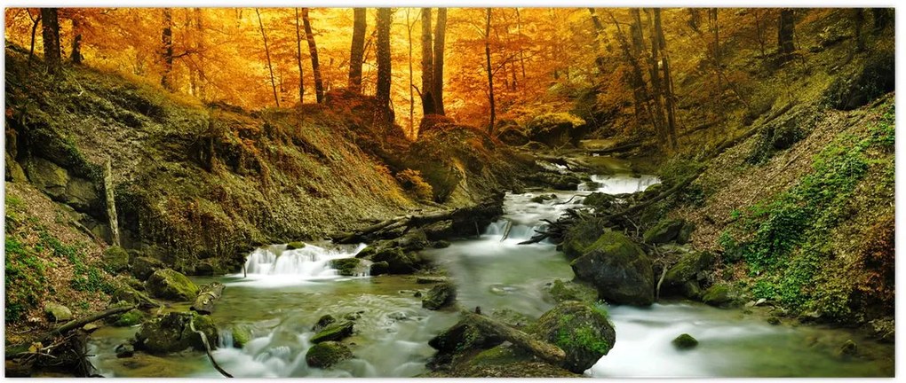 Tablou - Pădure (120x50 cm)