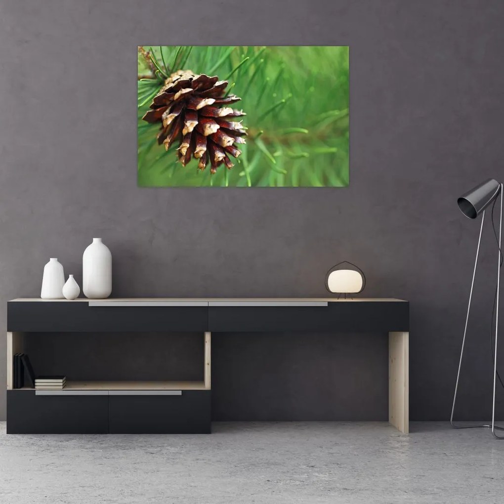 Tablou cu con (90x60 cm)