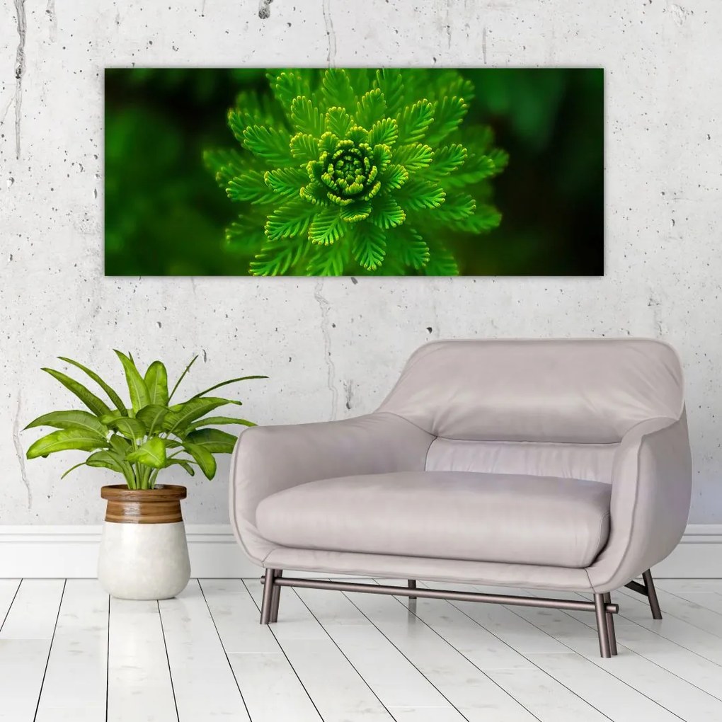 Tablou cu coniferi (120x50 cm)