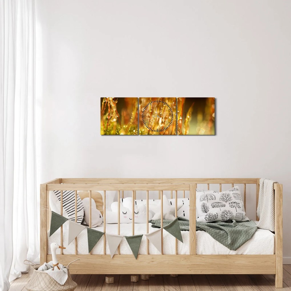 Tablou - Detaliu rouă (cu ceas) (90x30 cm)