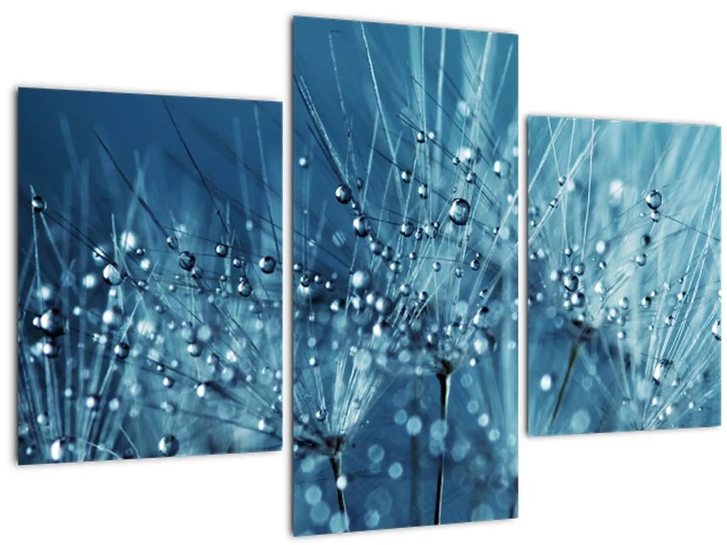 Tablou - Picături de rouă (90x60 cm)