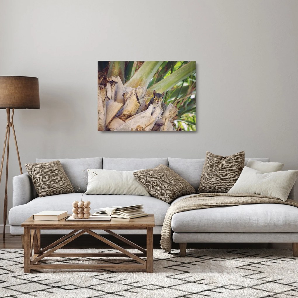 Tablou pe sticlă cu veverița în copaci (70x50 cm)