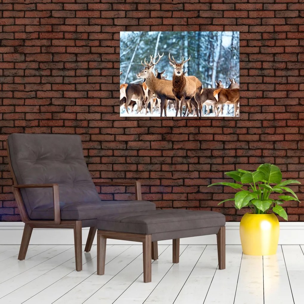Tablou - Turma de căprioare (70x50 cm)