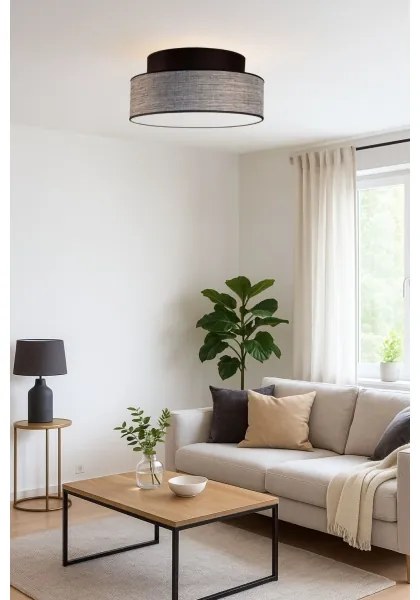 Plafonieră GRACE 1xE27/60W/230V negru/gri