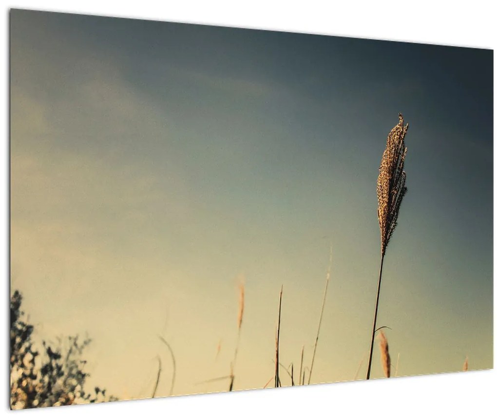 Tablou - Iarba (90x60 cm)