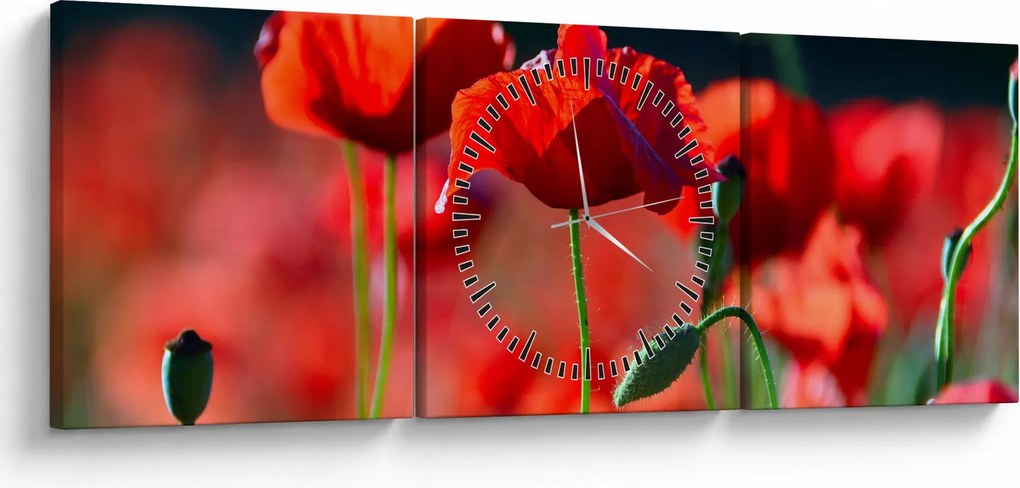Tablou - flori de maci (cu ceas) (90x30 cm)