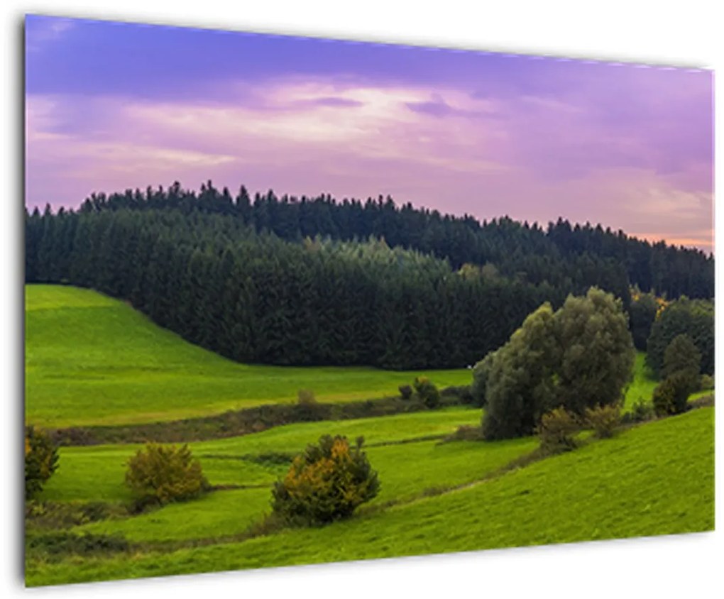 Tablou cu lunca (90x60 cm)