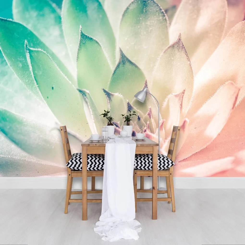 Fototapet - Floare de lotus (152,5x104 cm)