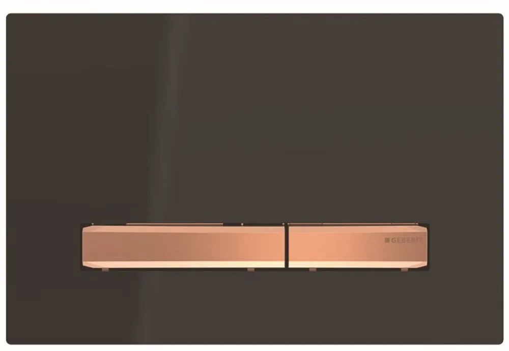 Clapeta de actionare pentru 2 volume de spalare, negru roz auriu Negru detalii rose/gold