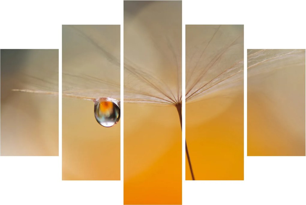 Tablou - Flori macro (150x105 cm)