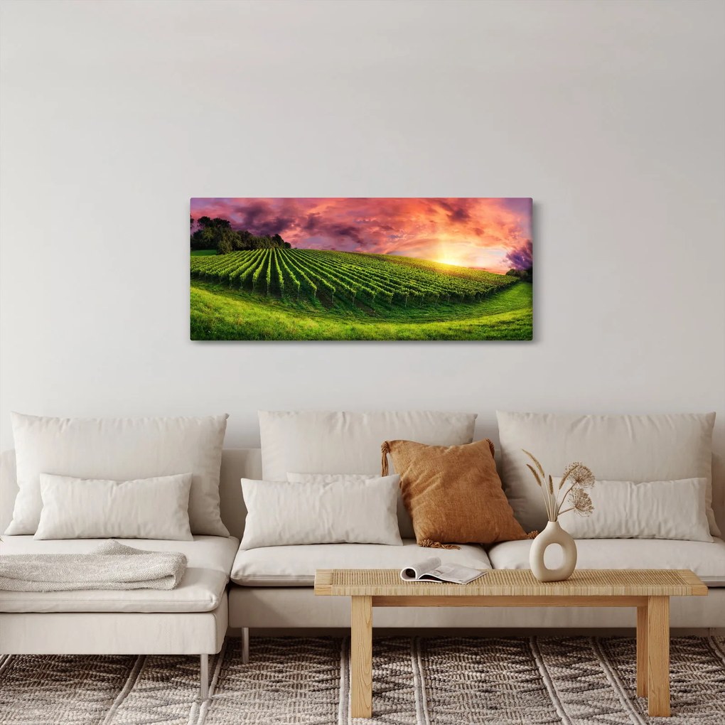 Tablou cu vie cu cerul color (120x50 cm)