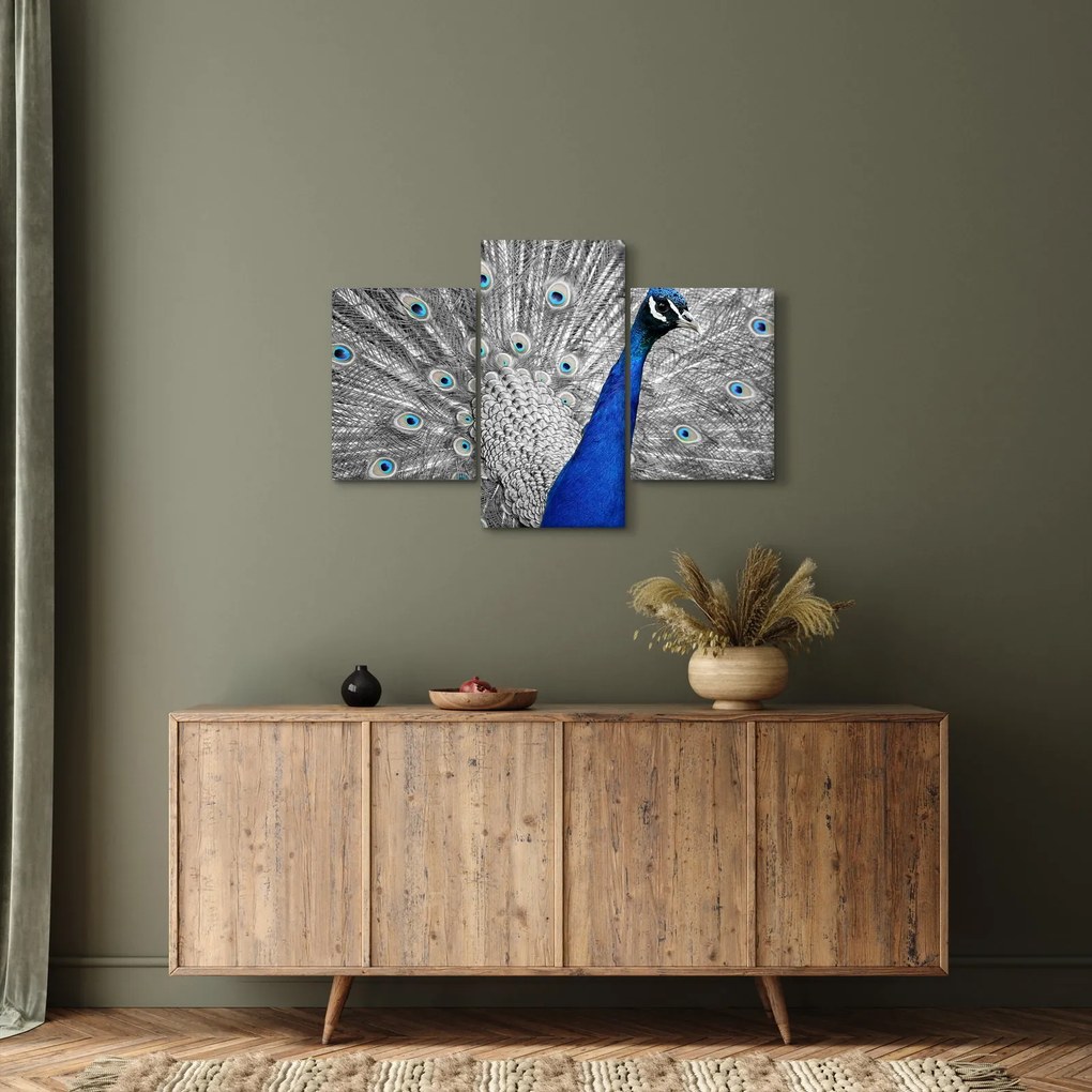 Tablou - păun albastru (90x60 cm)