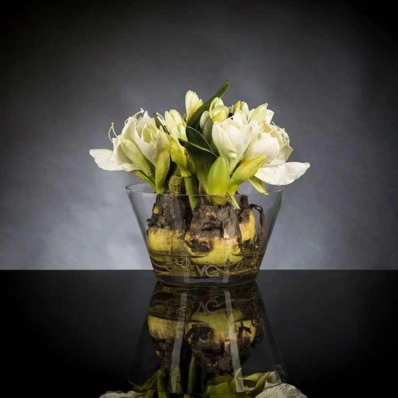 Aranjament floral mic decor festiv design LUX, VASE MASSY BULB 1140955.95