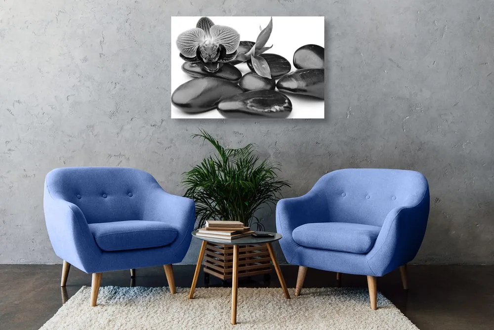 Tablou pietre wellness de masaj în design alb-negru