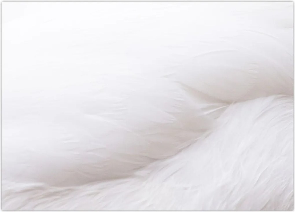 Tablou - Detalii pene (70x50 cm)