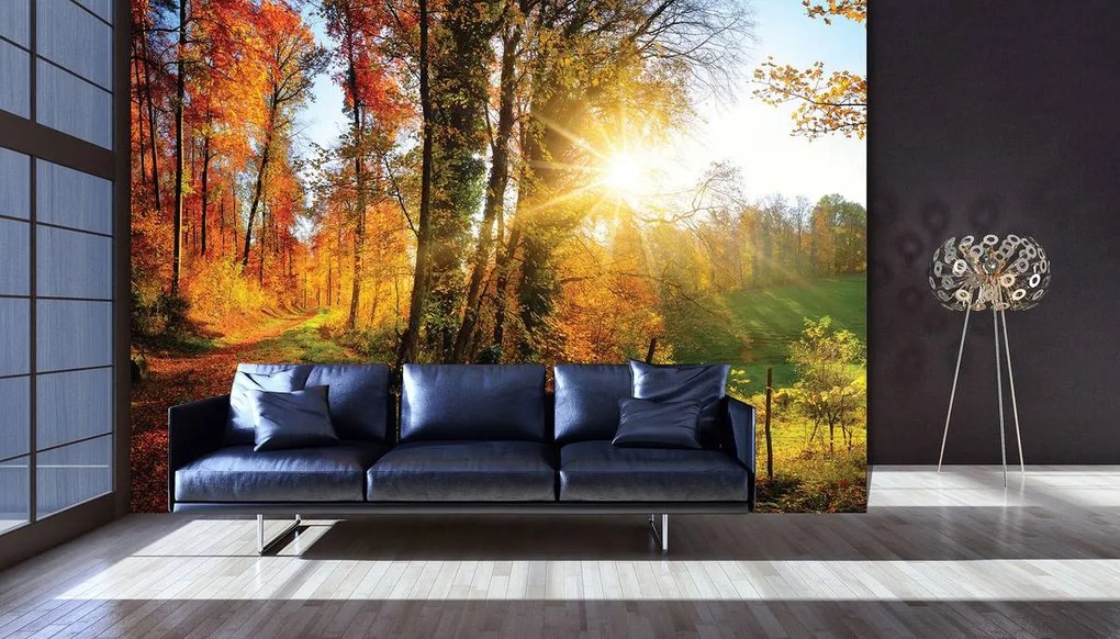 Fototapet - Pădure în toamnă (152,5x104 cm)