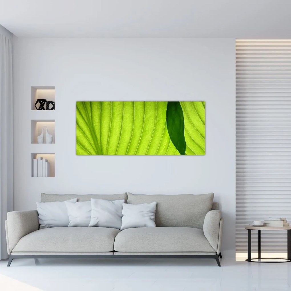 Tablou - Detaliu de frunză verde (120x50 cm)