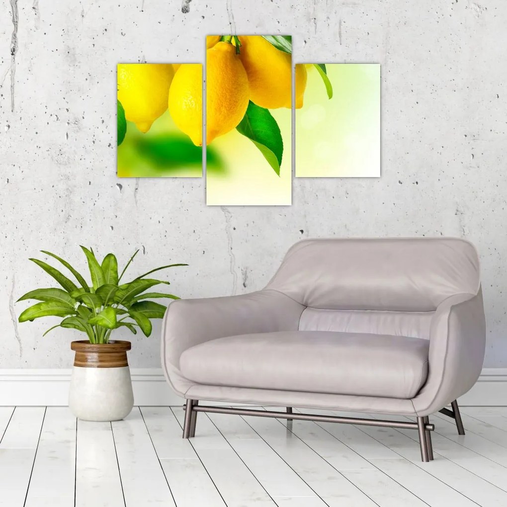 Tablou cu lămâi (90x60 cm)