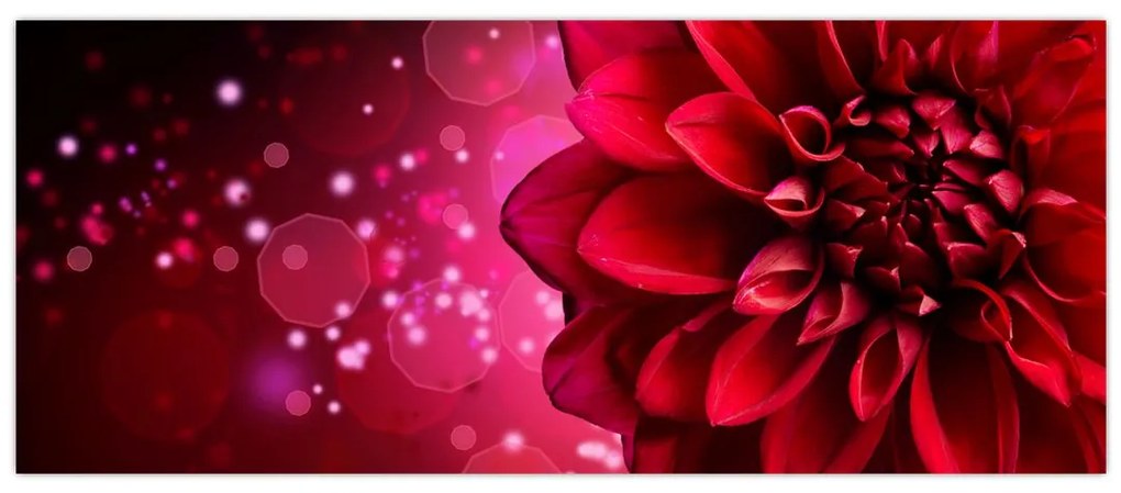 Tablou cu floare roșie (120x50 cm)