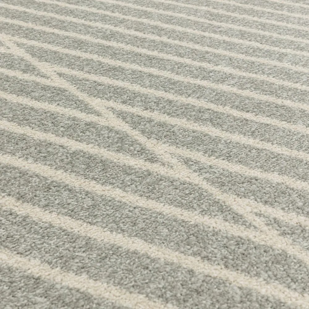 Covor gri deschis 120x170 cm Muse – Asiatic Carpets