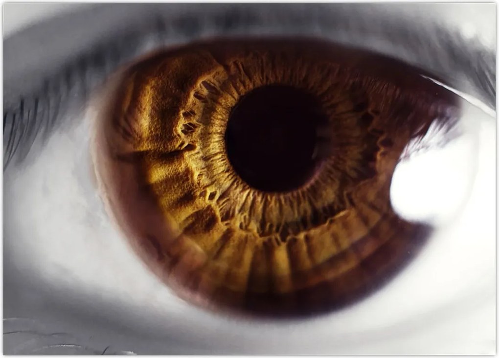 Tablou - Ochi (70x50 cm)