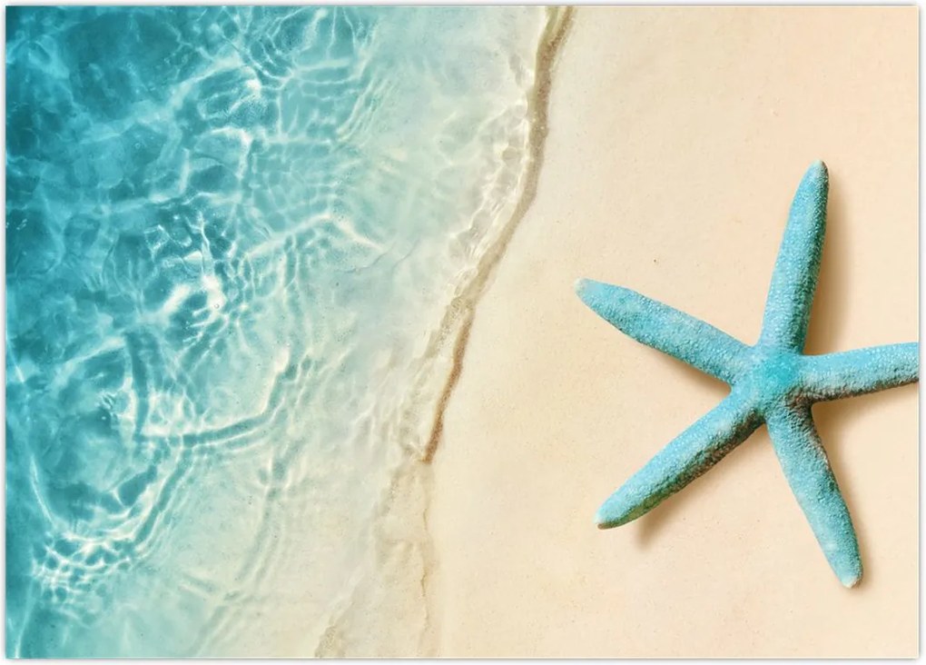 Tablou - Stea de mare pe plajă (70x50 cm)