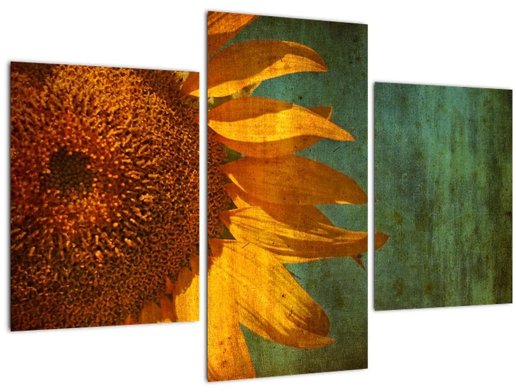 Tablou - Floarea soarelui (90x60 cm)