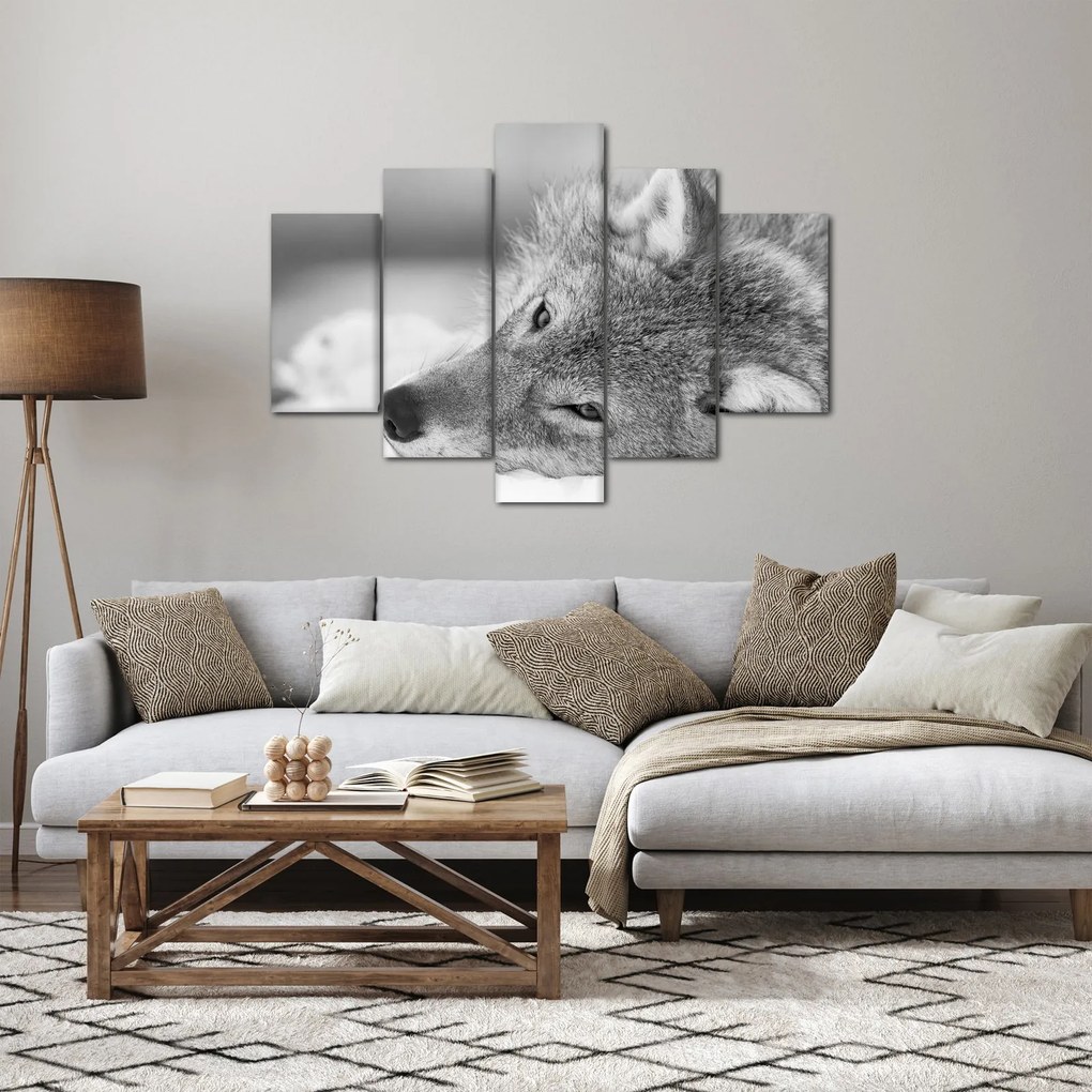 Tablou - Lup,alb-negru (150x105 cm)