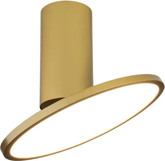 Spot aplicat LED 12W, directionabil, auriu