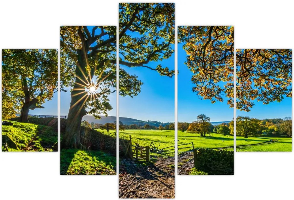 Tablou Privire la câmp (150x105 cm)