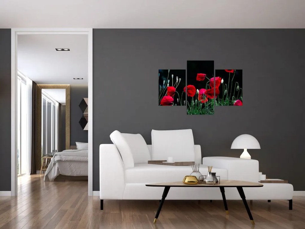 Tablou - Dansul macilor (90x60 cm)