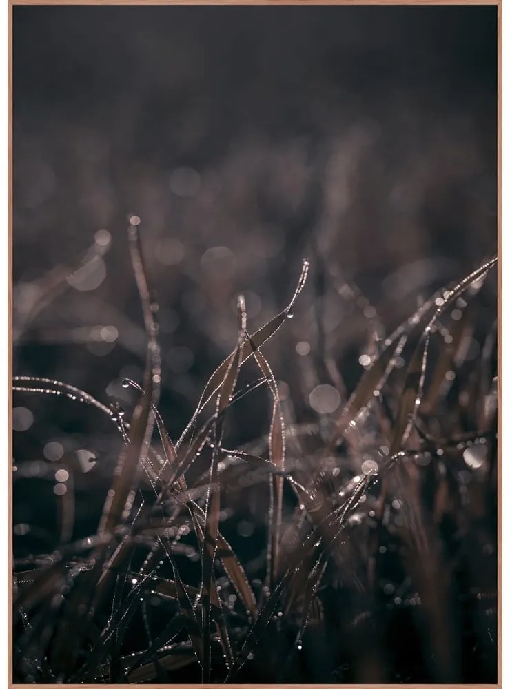 Tablou 50x70 cm Mellow Grasses 5 – Malerifabrikken