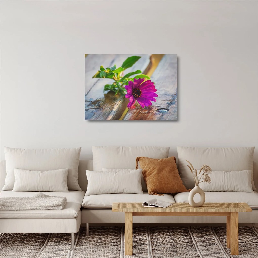 Tablou pe sticlă flori tăiate (70x50 cm)