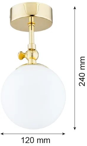 Argon 4001 - Lustră aplicată pentru baie LATINA 1xE14/40W/230V IP44