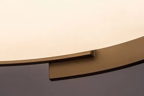 Plafoniera LED cu telecomanda Laleh D-50cm