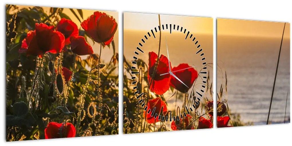 Tablou cu apus de soare cu flori de maci (cu ceas) (90x30 cm)