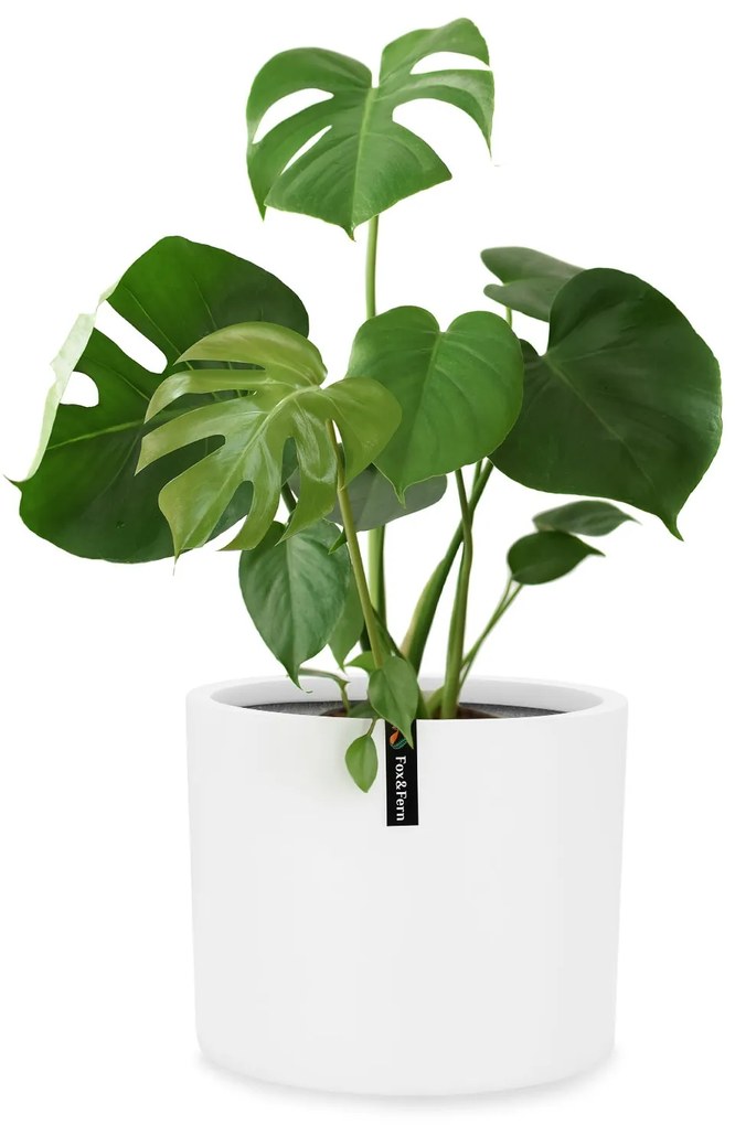 Gendt, ghiveci de flori, piatră fibroasă, interior / exterior